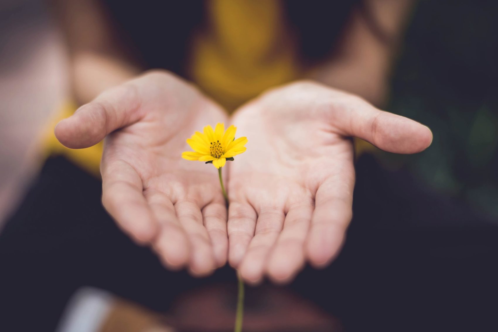 Nature Meditation with Lisa Campbell