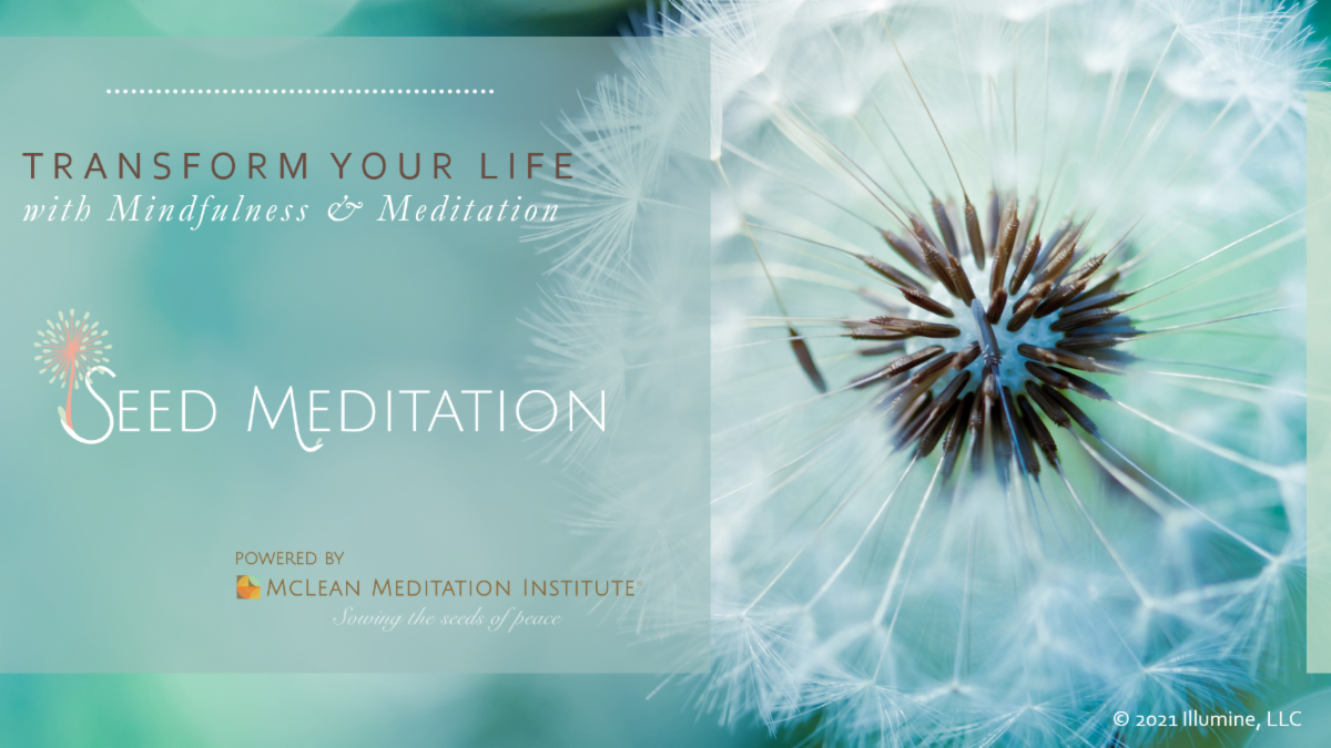 Deep Dive into Meditation & Mindfulness Workshop with Sarah McLean